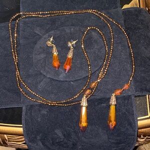 Heidi Daus Shades of Sparkle Amber Crystal Lariat Necklace and Pierced Earrings